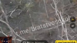 ВСУшник хотел сдаться но своиже не пустили