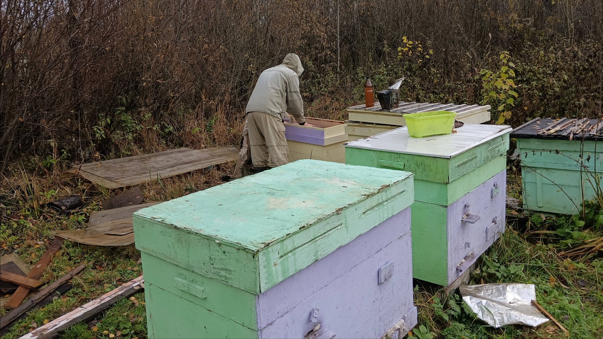 Работа на огороде не заканчивается.Обработка пчел Бипином смотреть онлайн