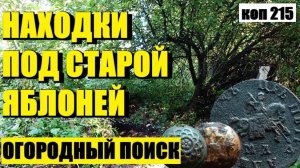 КАК Я СЕРЕБРО и ПЕТРОВСКУЮ КОПЕЙКУ НАШЕЛ. коп 215