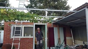 Бегом по посуде. Привет из Новороссийска.  Золотой зять.