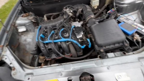 Rolls Maybach Priority Pas