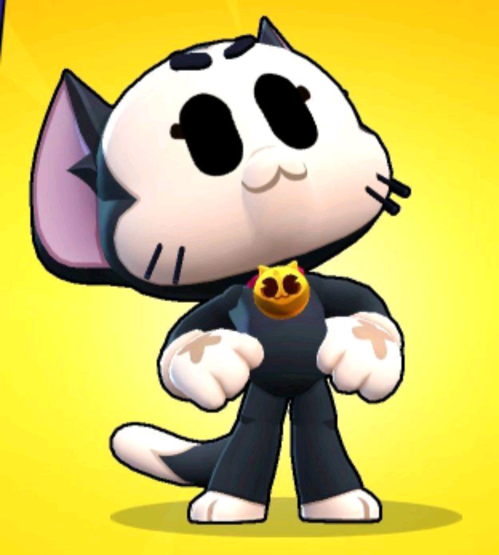 вечерняя трасляция