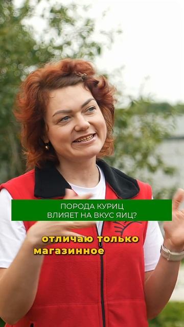 Какую породу кур завести? Рассказали в полном выпуске на канале #куры #ферма #яйца #мясо смотреть онлайн