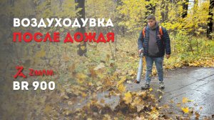 Обзор ВОЗДУХОДУВКИ после дождя ZimAni BR 900