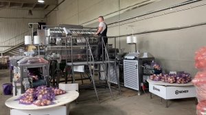 Одновременная работа двух упаковщиков. 12-канальная весовая станция. Лук.