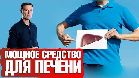 Польза расторопши для печени и не только. Сила силимарина 🙌 смотреть онлайн