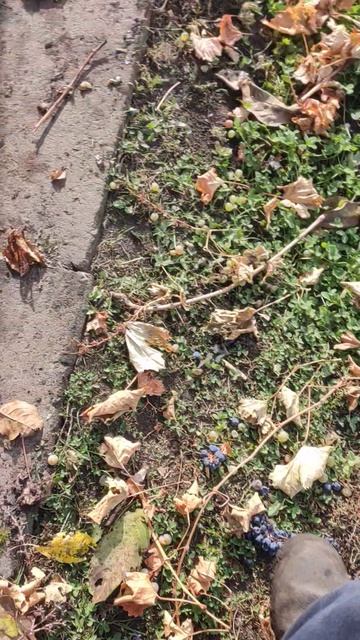 16.10.25г смотреть онлайн