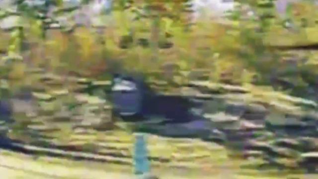 Алексеевка Днепропетровская область освобождена. смотреть онлайн