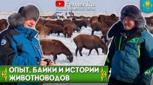 С юмором о серьёзном. Ерагый Гишларкаев, Бауржан Оспанов про животноводство, сельскую жизнь и бизнес