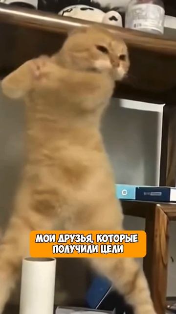 Отправь такому другу 🚕 #такси #яндекспро #яндекстакси #водителитакси #лвт #таксист