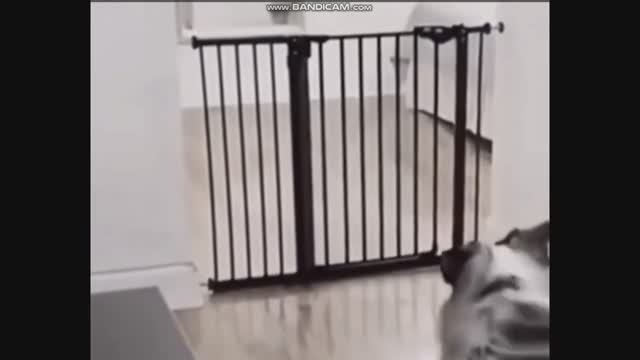 Аномалии в матрице мира. Вы еще думаете, что мир реален смотреть онлайн