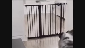 Аномалии в матрице мира. Вы еще думаете, что мир реален