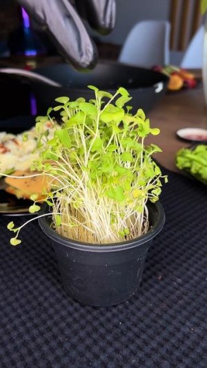 завтрак на скорую руку