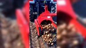 Картофелекопалка ККО-500 короткая — быстрый и удобный сбор урожая на любом участке!