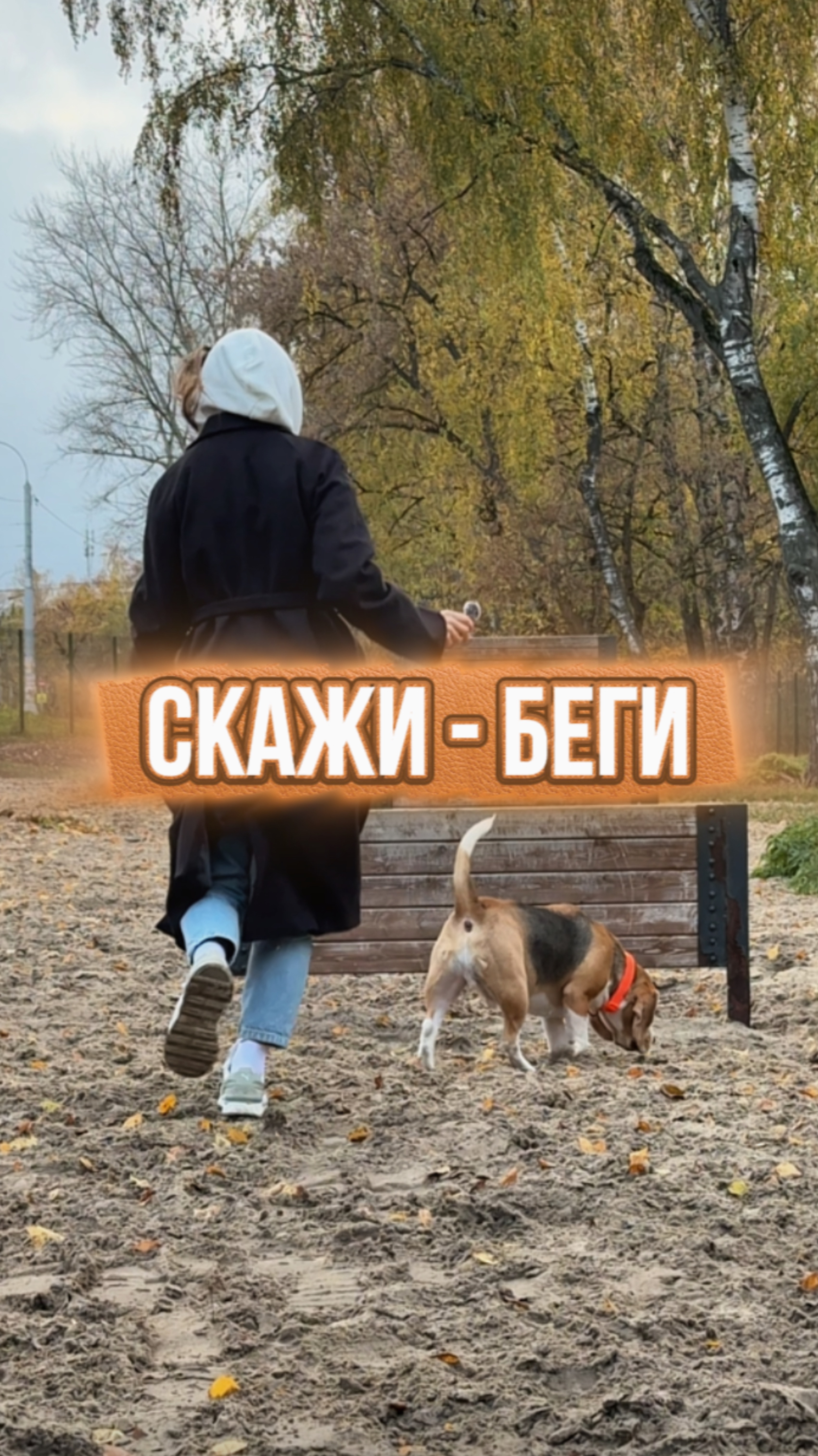 А ты даёшь собаке еду со стола?) смотреть онлайн