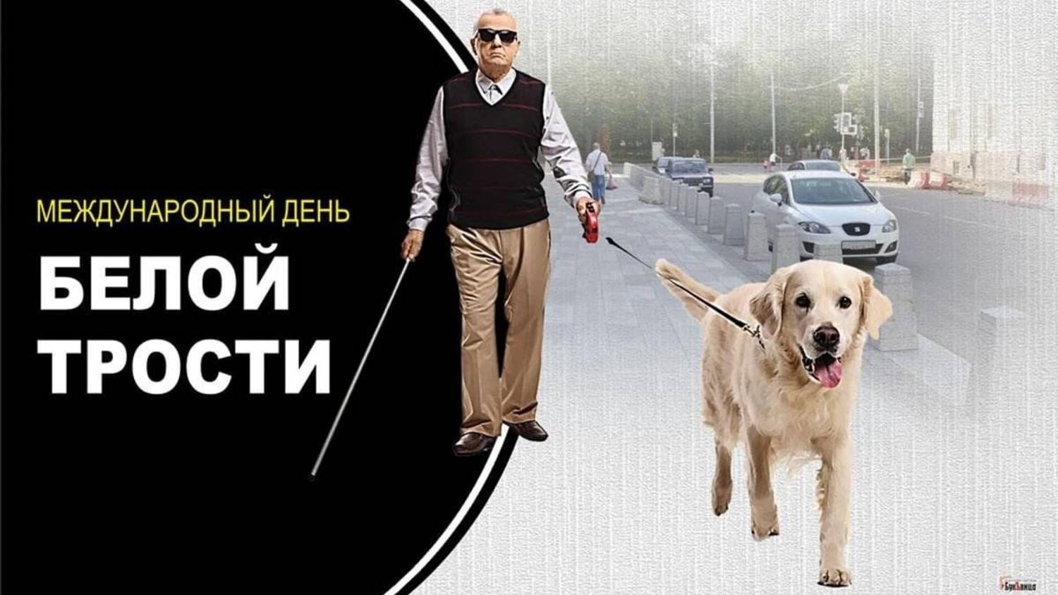 Международный день Белой трости смотреть онлайн