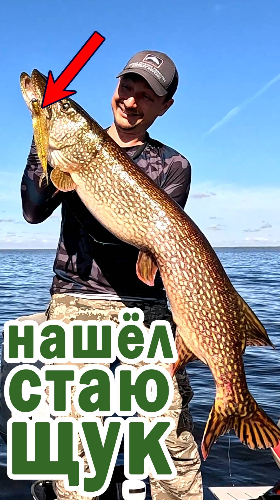 Щука монстр на 11кг смотреть онлайн