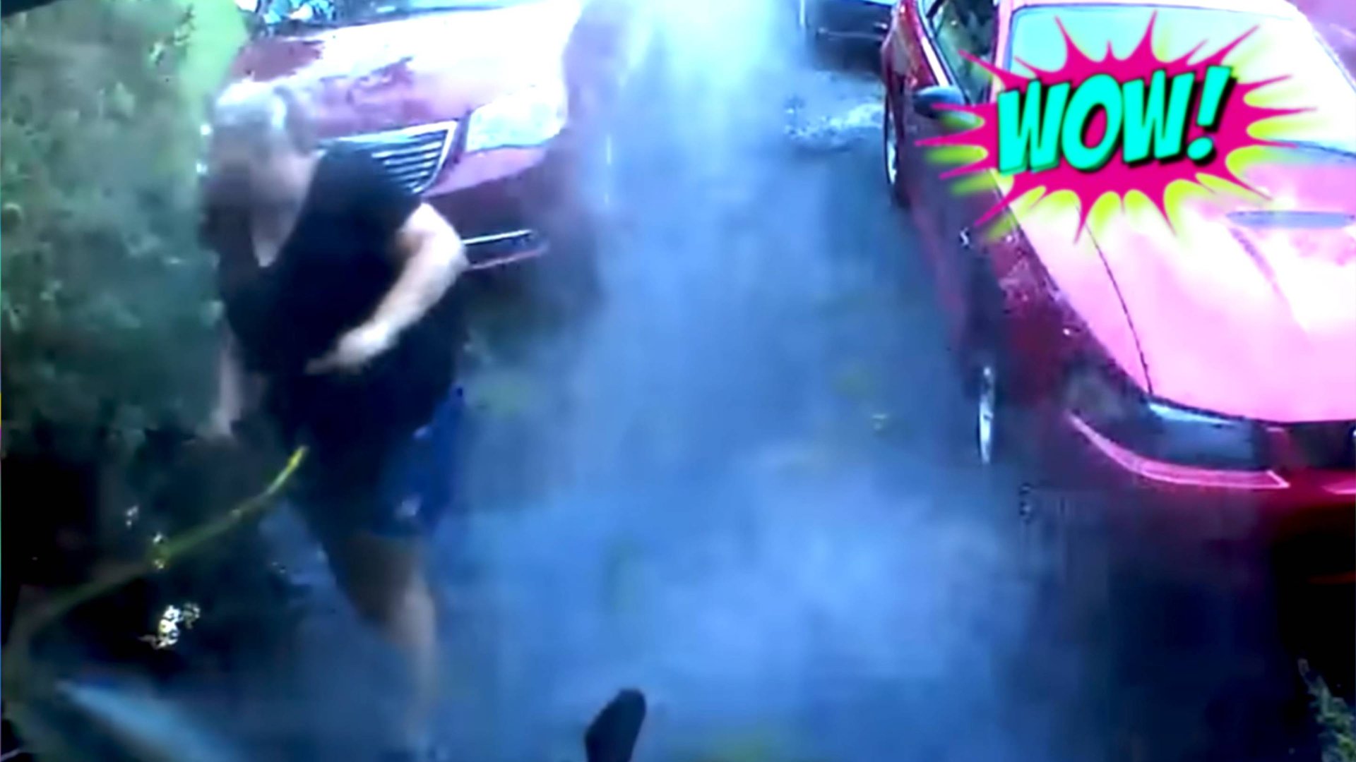 ЛУЧШИЕ ПРИКОЛЫ: СМЕШНЫЕ ВИДЕО ДЛЯ ХОРОШЕГО НАСТРОЕНИЯ смотреть онлайн