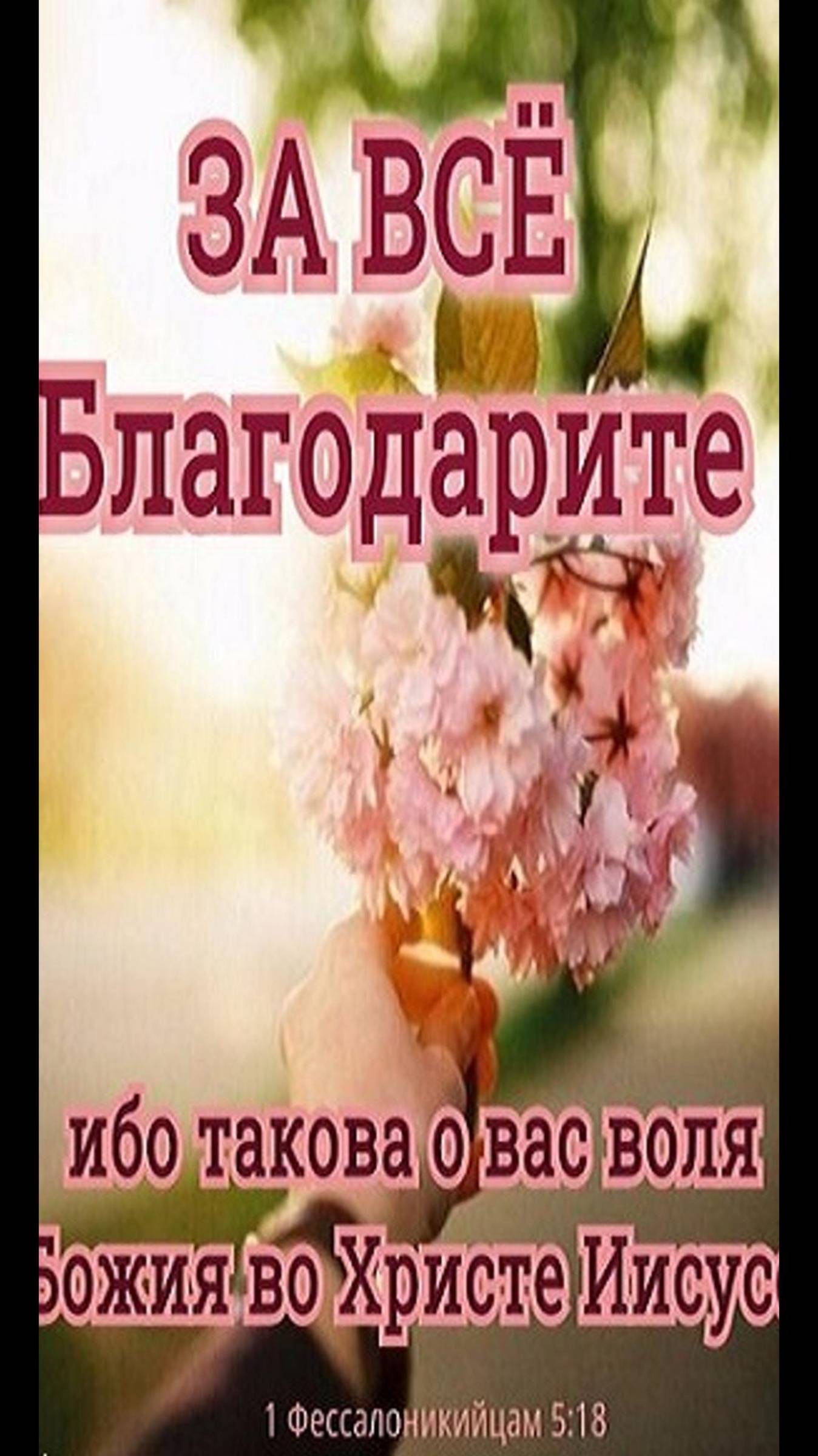 Такова воля Божья / Церковь «Слово Жизни» Оренбург*/ #woloren #вера #Бог