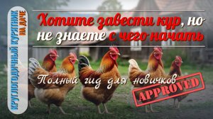 РАЗВЕДЕНИЕ и СОДЕРЖАНИЕ КУР: с чего начать, советы и ошибки. 🐔 Полный гид для новичков