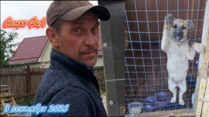 Из Германии в Россию. Купили новый транспорт. Конец сентября.