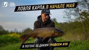 Ловля карпа в начале мая. В погоне за диким трофеем #38