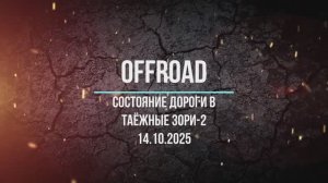 Состояние дороги в Таёжные зори-2 14.10.2025