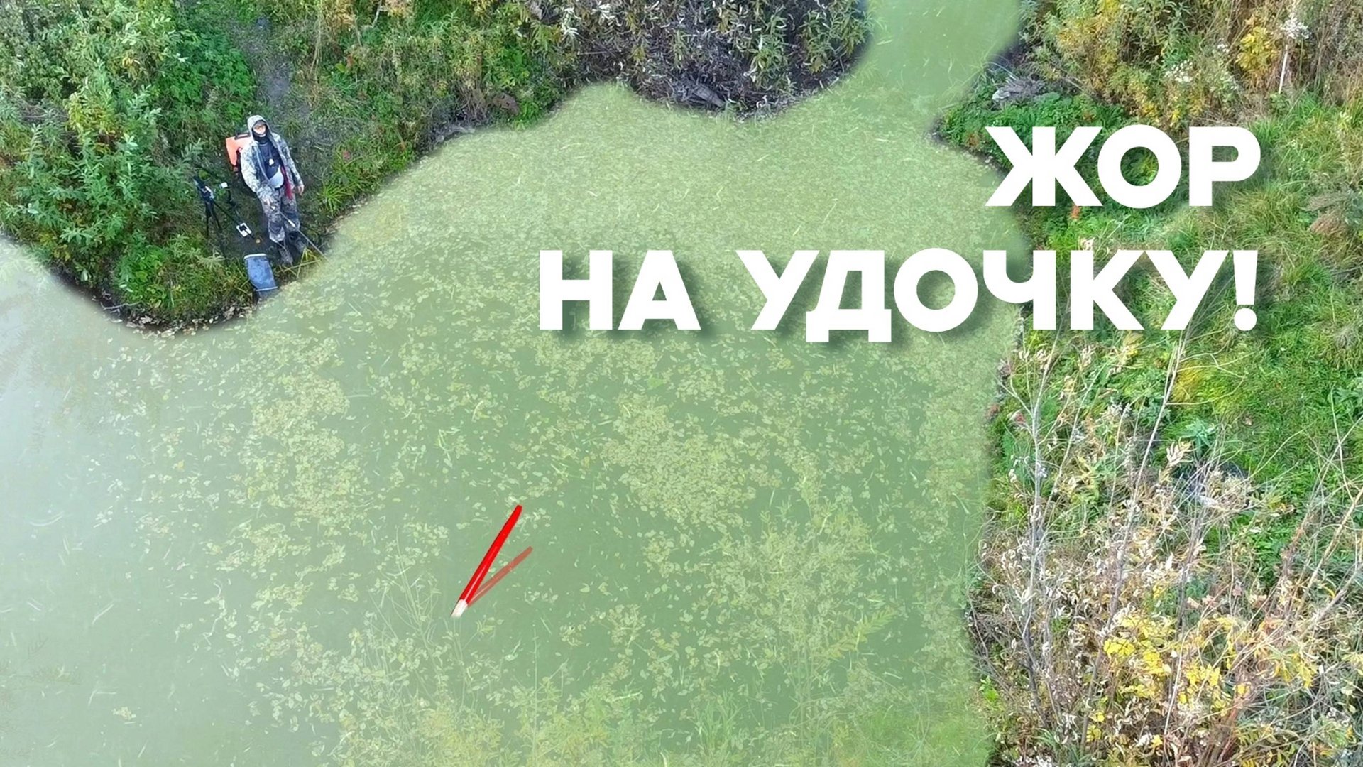 ТАЙНАЯ ЛУЖА РАЗДАЁТ КРУПНЯК на ПОПЛАВОК! Жор в запруде на удочку. Рыбалка на карася 2025 смотреть онлайн