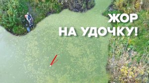 ТАЙНАЯ ЛУЖА РАЗДАЁТ КРУПНЯК на ПОПЛАВОК! Жор в запруде на удочку. Рыбалка на карася 2025