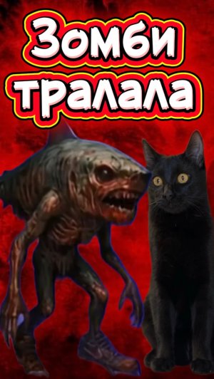 Это настоящая итальянская зомби мем 🙀 #кот #кошка #животные #ужасы #страшно #тралалелотралала