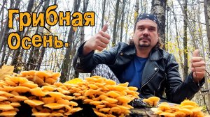 Грибная осень. 16.10.2025