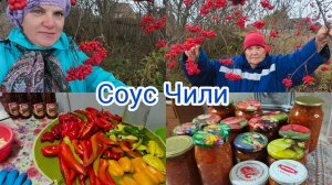 Соус Чили ,копаю грядки ,собираю урожай .