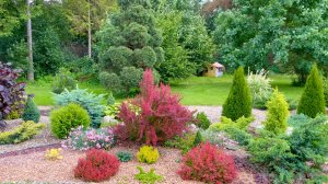 Большой рокарий. Взросление. История создания.