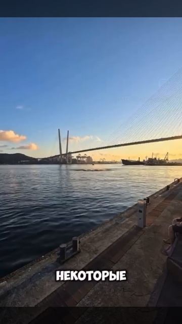 В России есть всё!!! Теперь даже киты! Полный восторг! Смотрим на это явное чудо! смотреть онлайн