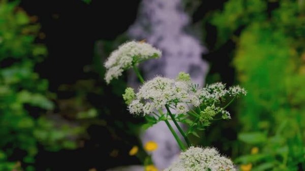 Emotional Piano Ballad - Beautiful Relaxing Piano Music