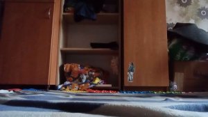 проверила как я умею бегать с рысью это было смешно