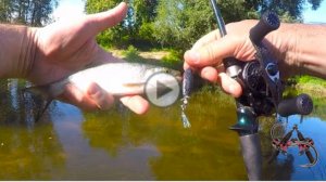 propbait (пропбейт) - воблер с пропеллером.  One Day Build to Catch.