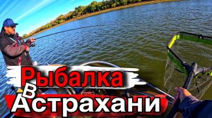 ЭТУ ПОКЛЕВКУ ЖДЕШЬ ВСЮ РЫБАЛКУ Ловля в Астрахани на спиннинг осенью