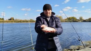 Рыбалка в середине октября на реке Северский Донец.