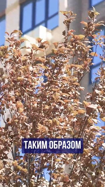 Инфраструктура проекта ЖК Небо в Краснодаре ➤Дворы, площадки, коммерция 🔵Просочились  #недвижимость