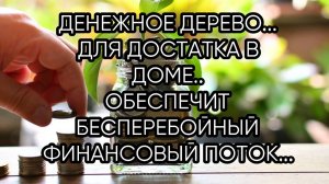 ДЕНЕЖНОЕ ДЕРЕВО...ДЛЯ ВСЕХ...