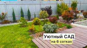 Осенний САД! Последние яркие краски!