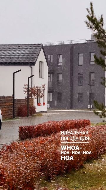 И ЭТОТ СНЕГ НЕ ПЕРВЫЙ ☝🏻😌