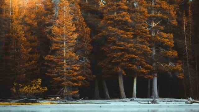 КОМЕДИЯ РОК В Театре Господа Бога!)) смотреть онлайн
