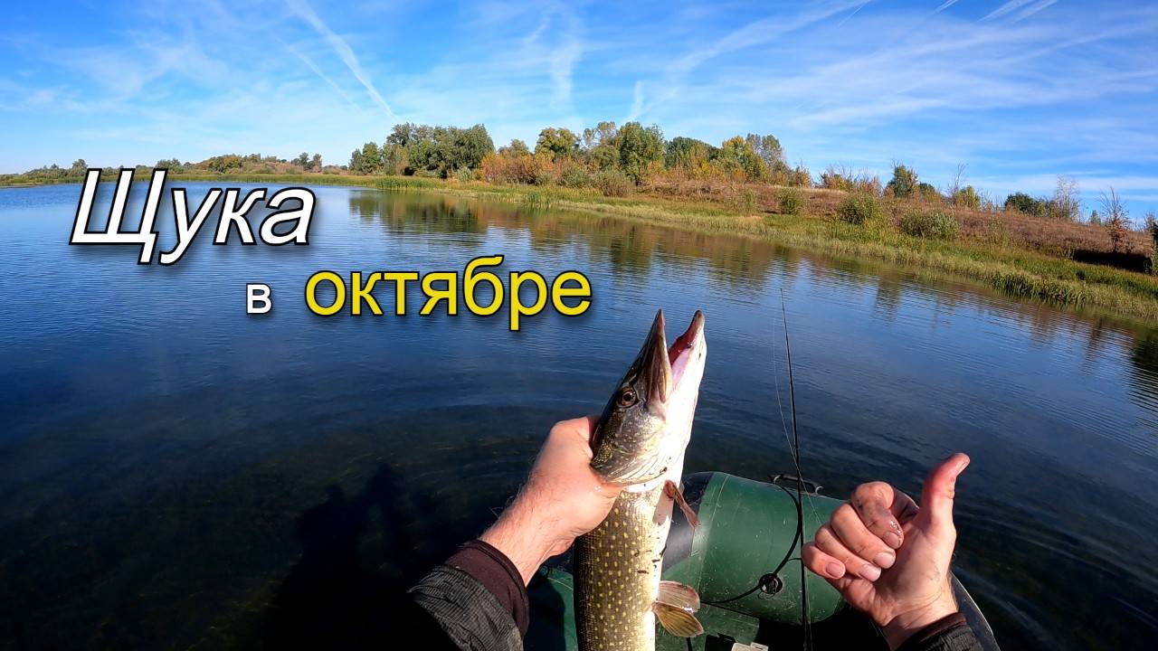 Ловля щуки на мелком озере в октябре. Рыбалка на хищника с лодки смотреть онлайн