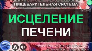 Мощное Восстановление и Детокс Печени  Здоровые Клетки и Ферменты