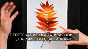 С чего начать знакомство с акварелью? Отрывок курса "Рисунок и акварель для начинающих" А.Бесединой