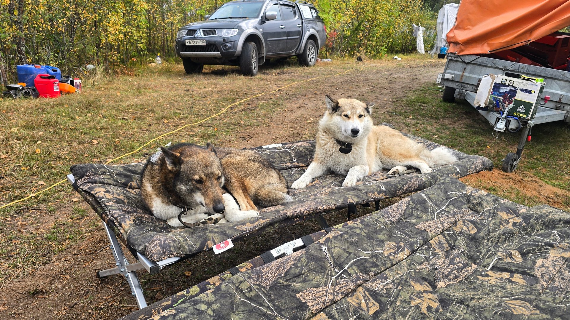 Смена обстановки