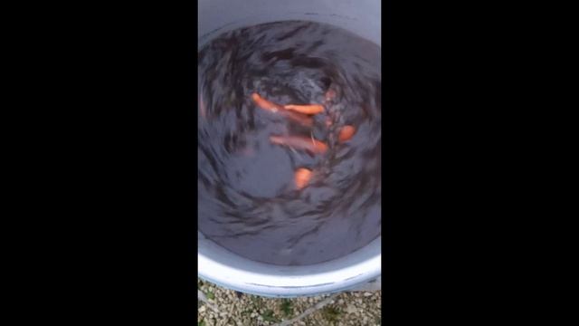 Бабушка Ока 7 смотреть онлайн