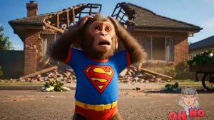 Мультики для детей, приключения обезьянки, обезьянка помогает панде, мультфильм детям